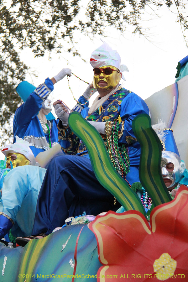 2014-Krewe-of-Thoth-11494