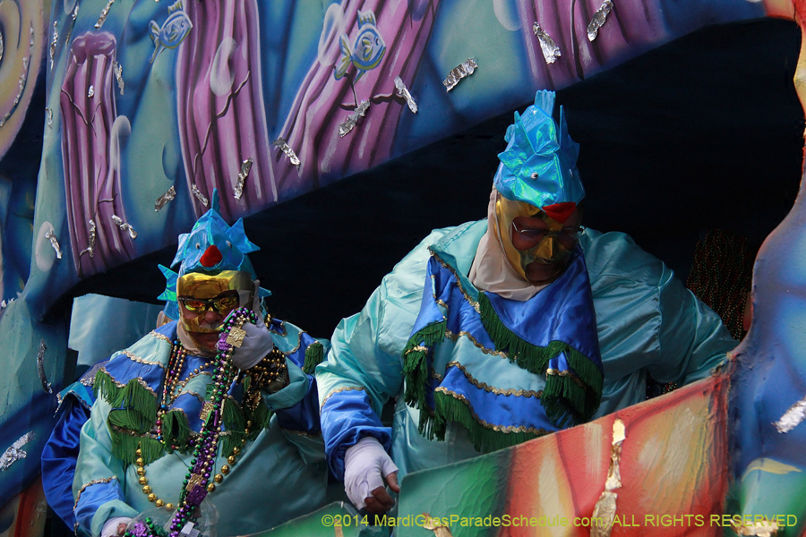 2014-Krewe-of-Thoth-11501