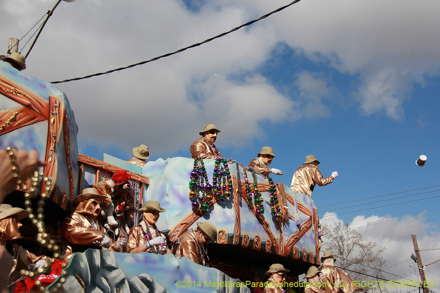 2014-Krewe-of-Thoth-11530