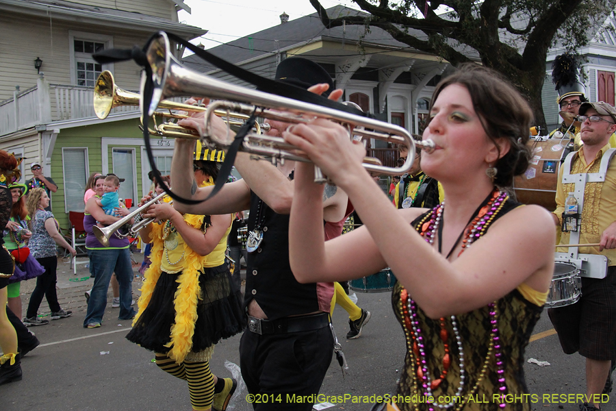 2014-Krewe-of-Thoth-11628