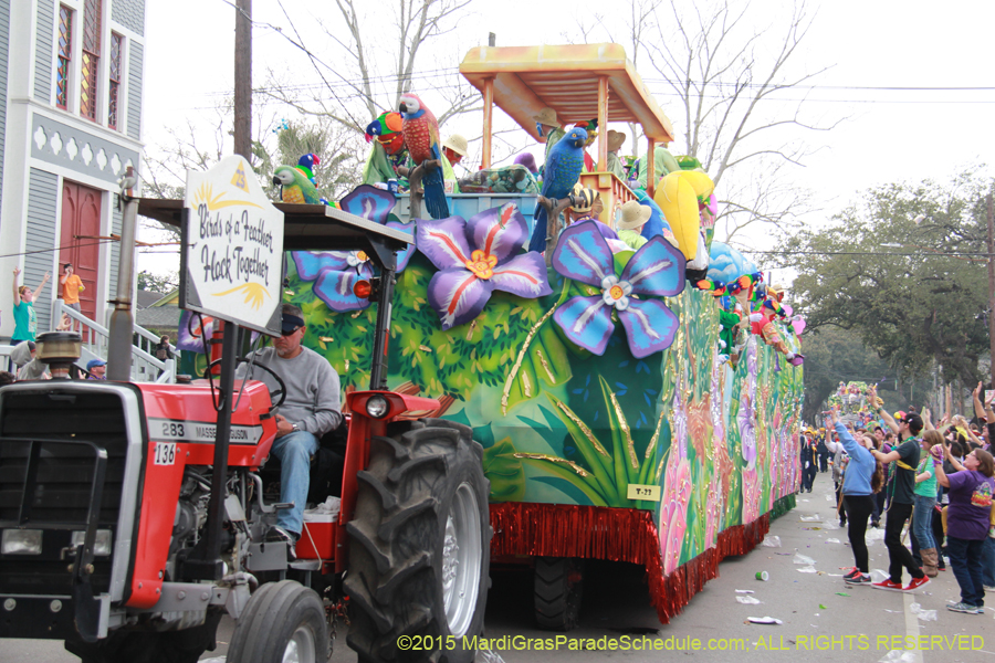 Krewe-of-Thoth-2015-18123