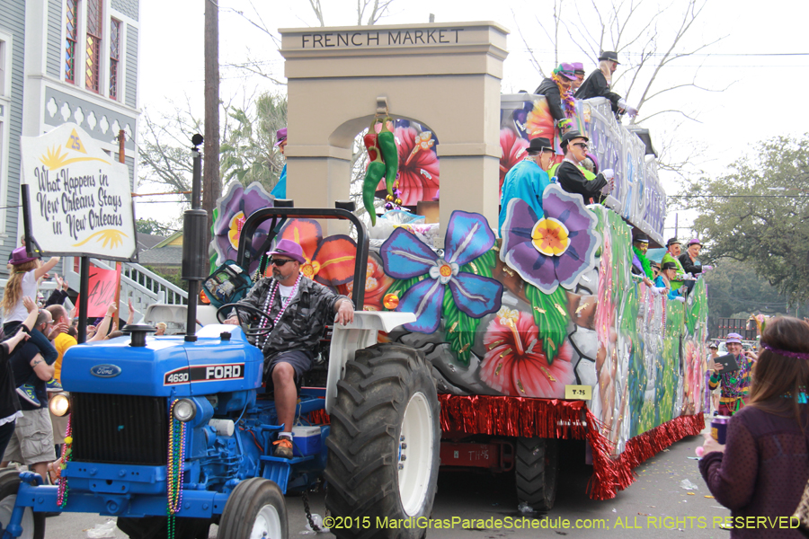 Krewe-of-Thoth-2015-18142