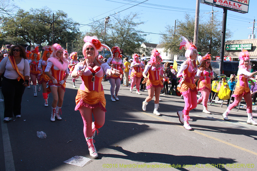 2016-Krewe-of-Thoth-012377