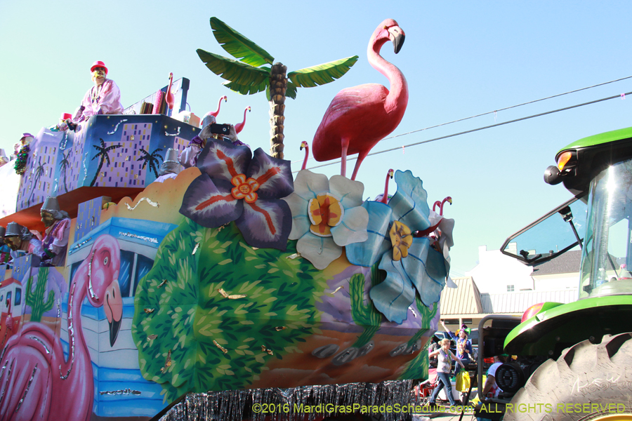 2016-Krewe-of-Thoth-012642