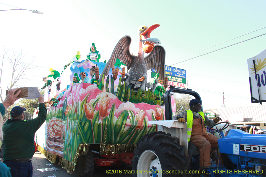 2016-Krewe-of-Thoth-012670