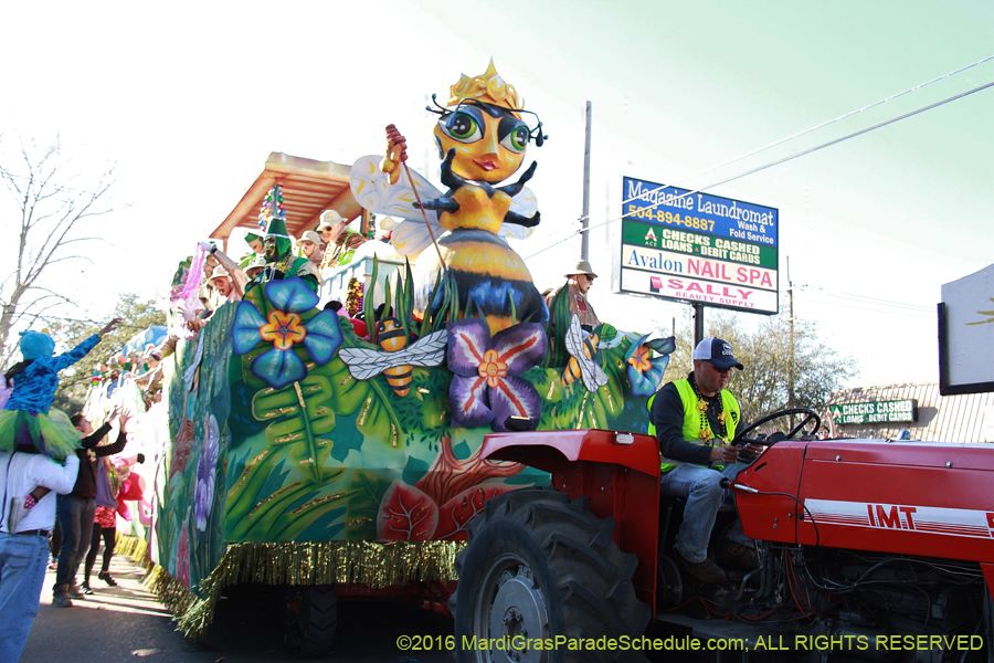 2016-Krewe-of-Thoth-012717