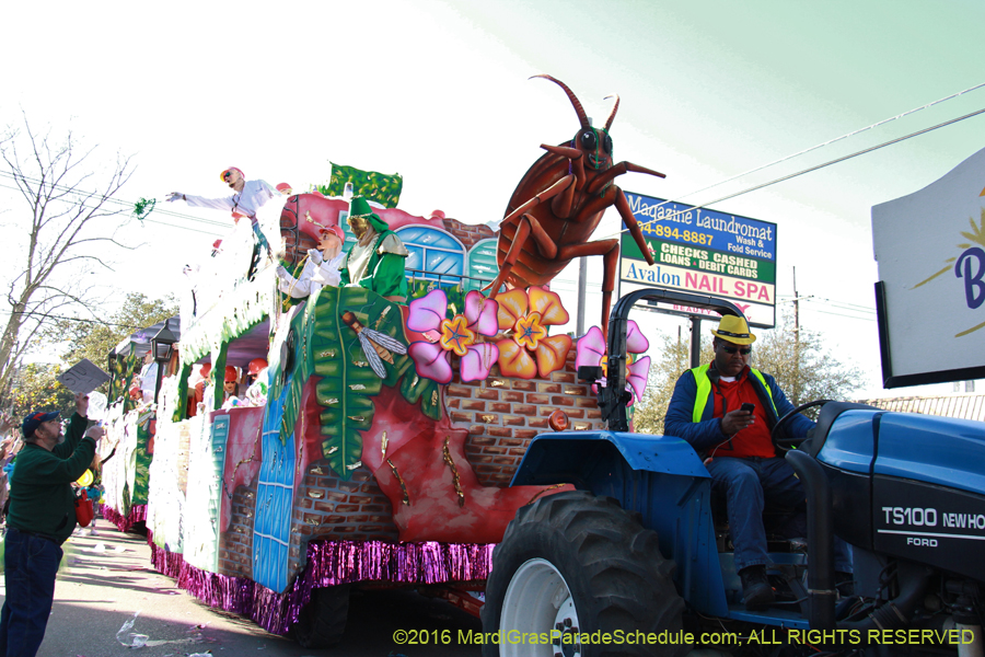 2016-Krewe-of-Thoth-012735