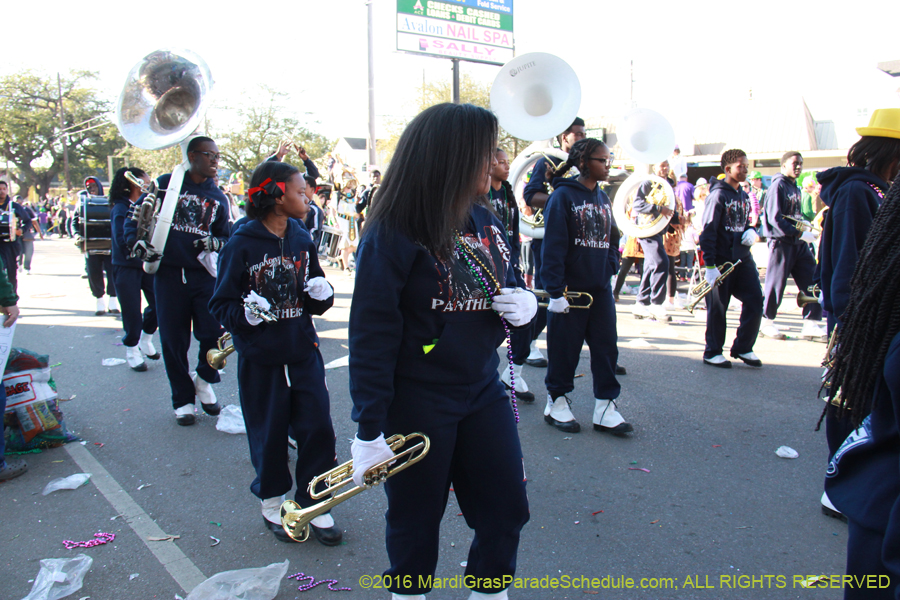 2016-Krewe-of-Thoth-012785