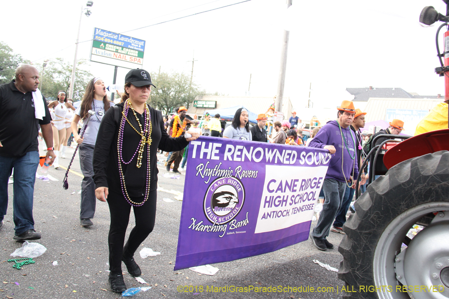 2018-Krewe-of-Thoth-00007465