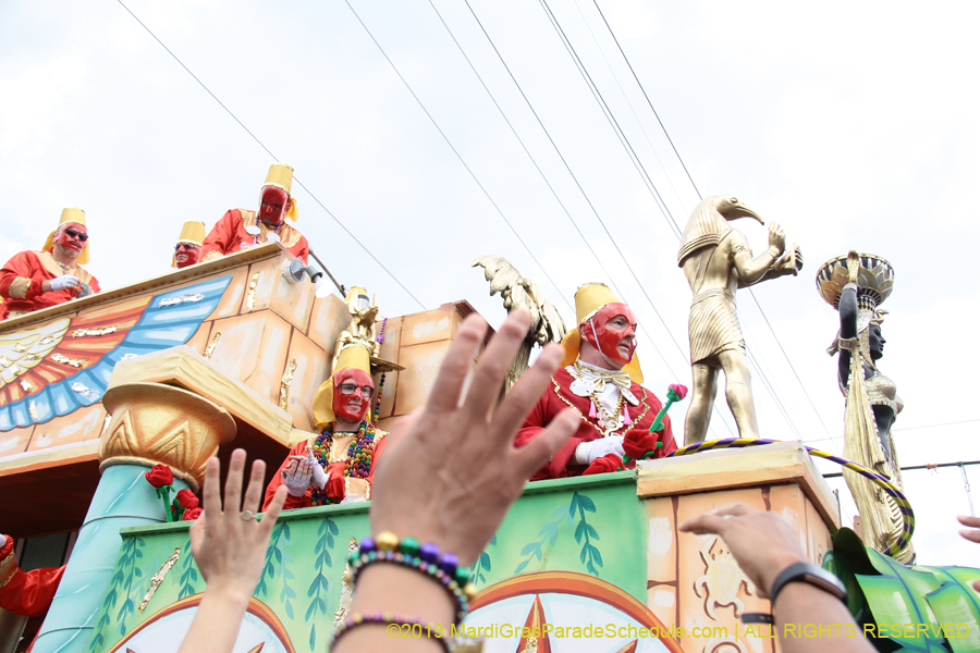 Krewe-of-Thoth-2019-008306