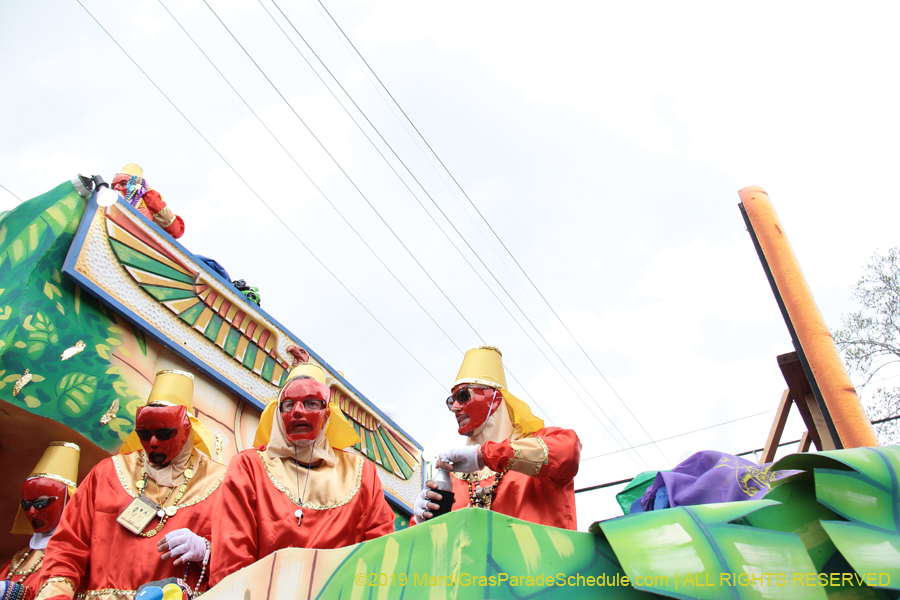 Krewe-of-Thoth-2019-008314