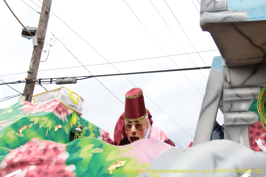 Krewe-of-Thoth-2019-008353