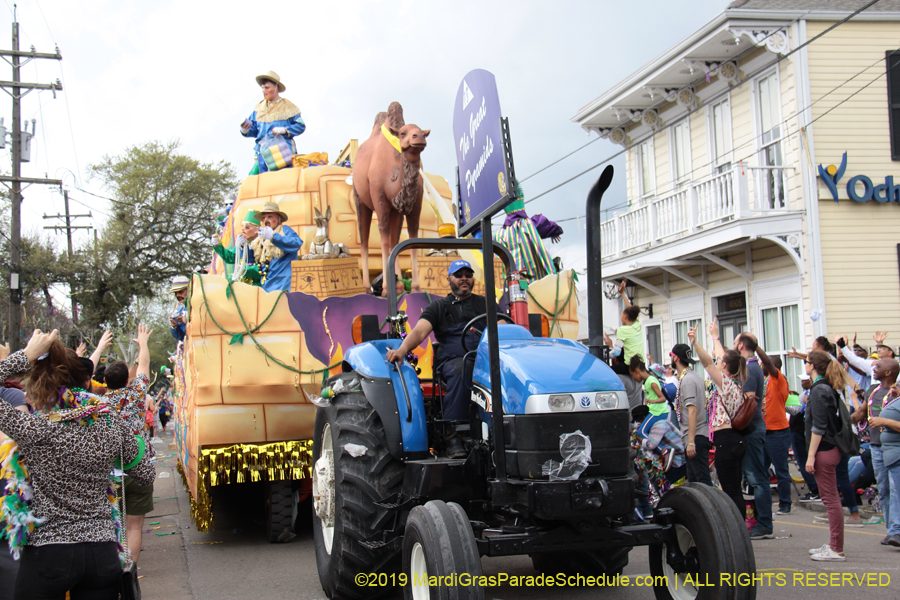 Krewe-of-Thoth-2019-008392