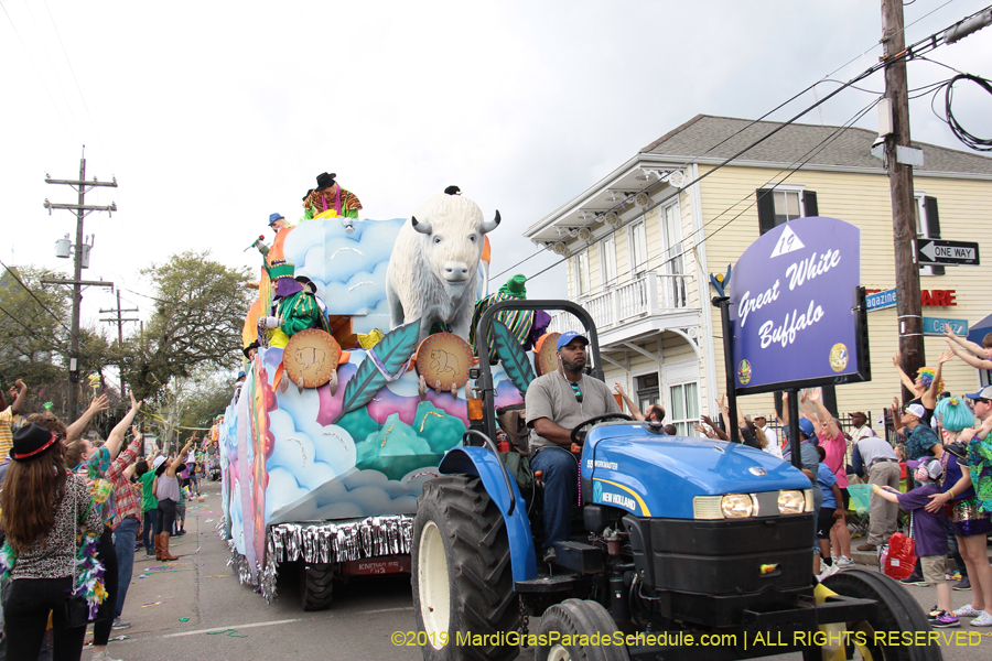 Krewe-of-Thoth-2019-008411