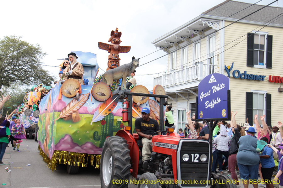 Krewe-of-Thoth-2019-008421