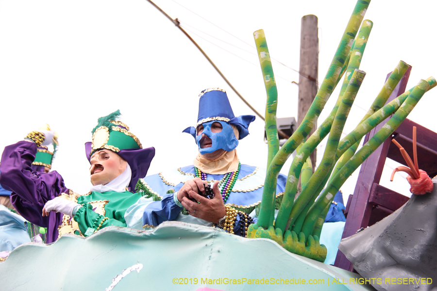 Krewe-of-Thoth-2019-008545