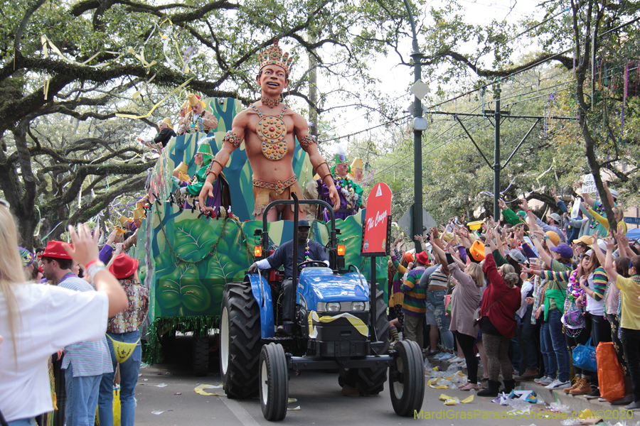 Krewe-of-Thoth-2020-08069