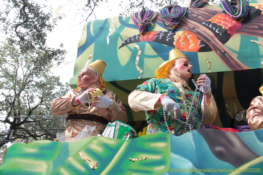 Krewe-of-Thoth-2020-08079