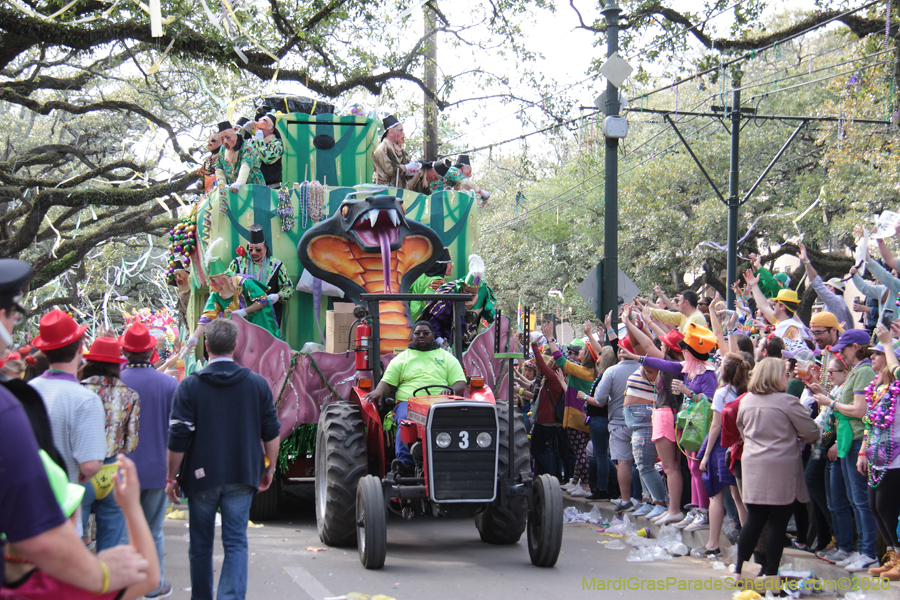 Krewe-of-Thoth-2020-08089