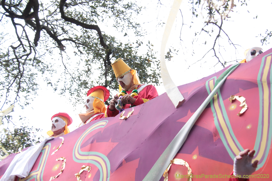 Krewe-of-Thoth-2020-08105