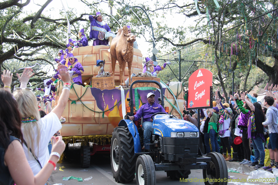 Krewe-of-Thoth-2020-08133