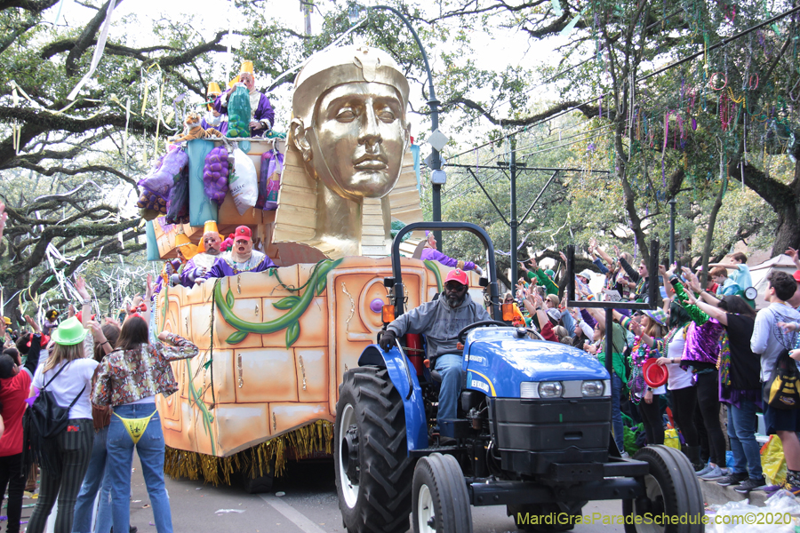 Krewe-of-Thoth-2020-08148