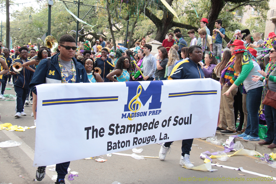 Krewe-of-Thoth-2020-08180