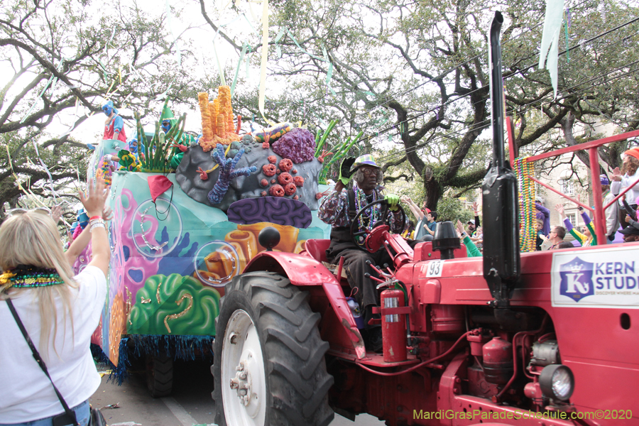 Krewe-of-Thoth-2020-08284