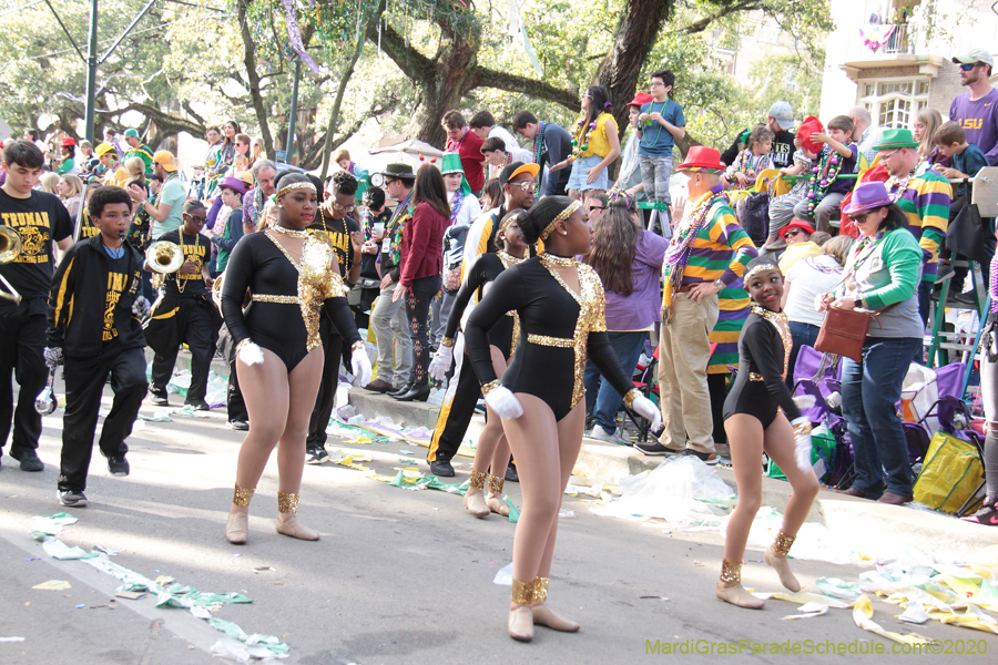 Krewe-of-Thoth-2020-08307