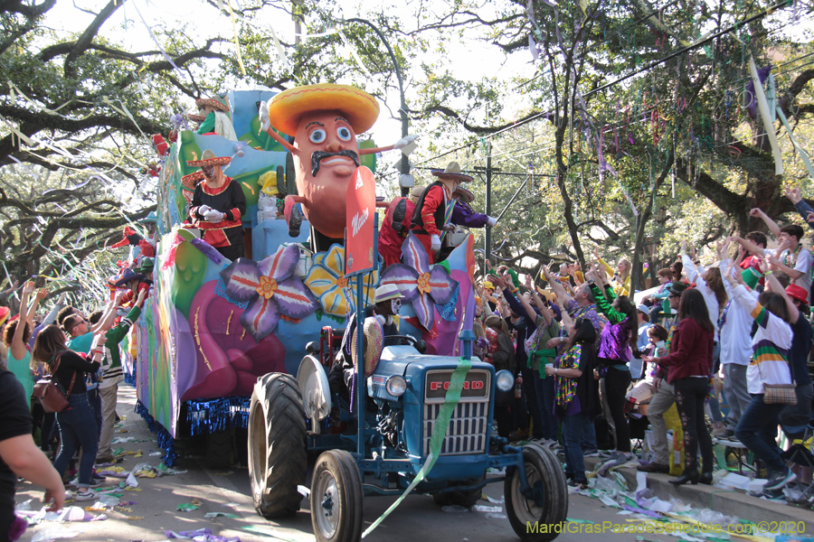 Krewe-of-Thoth-2020-08336