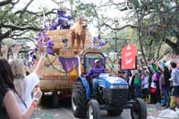 Krewe-of-Thoth-2020-08133