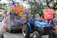 Krewe-of-Thoth-2020-08161