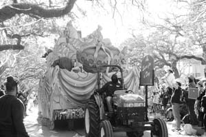 Krewe-of-Thoth-00392-2022