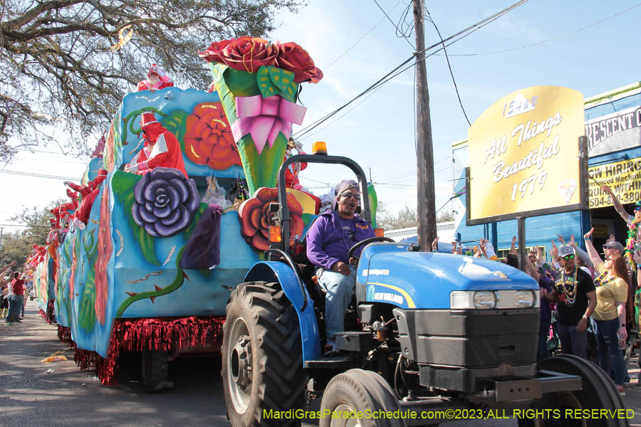 2023-Krewe-of-Thoth-10884