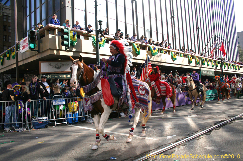 Krewe-of-Tucks-2010-Mardi-Gras-New-Orleans-7772