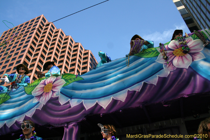 Krewe-of-Tucks-2010-Mardi-Gras-New-Orleans-7954