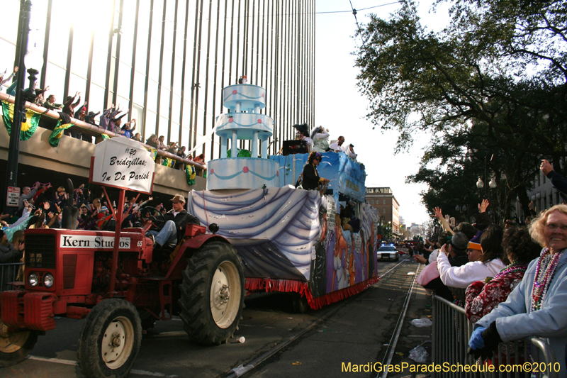 Krewe-of-Tucks-2010-Mardi-Gras-New-Orleans-7967