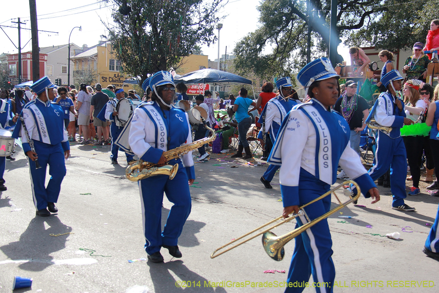 2014-Krewe-of-Tucks-11306