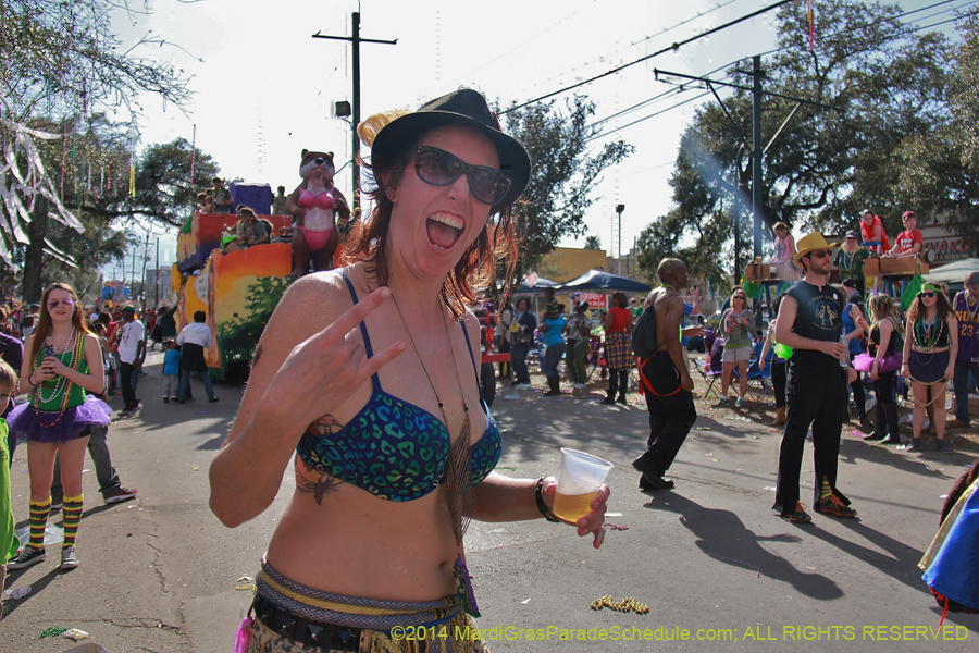 2014-Krewe-of-Tucks-11403