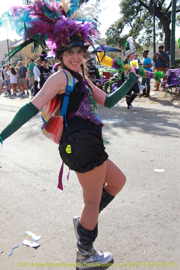 2014-Krewe-of-Tucks-11460