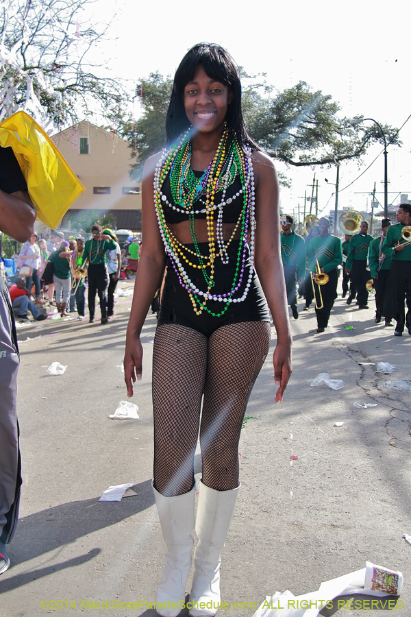 2014-Krewe-of-Tucks-11488