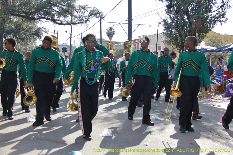 2014-Krewe-of-Tucks-11489