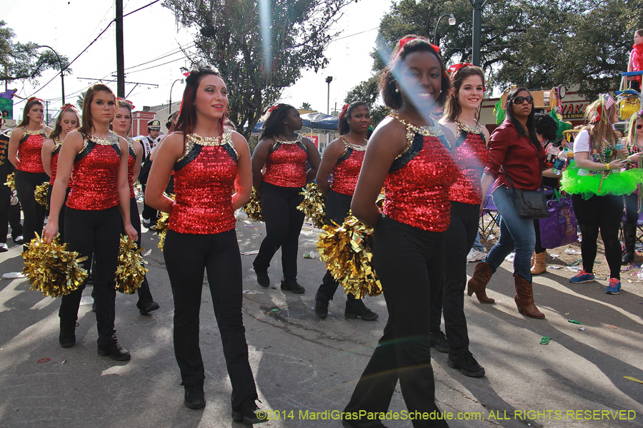 2014-Krewe-of-Tucks-11556