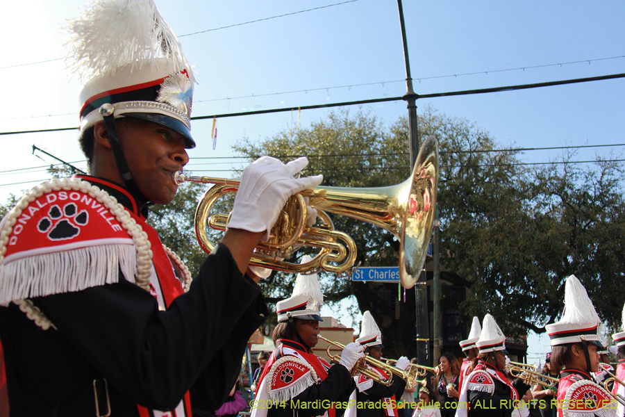 2014-Krewe-of-Tucks-11622