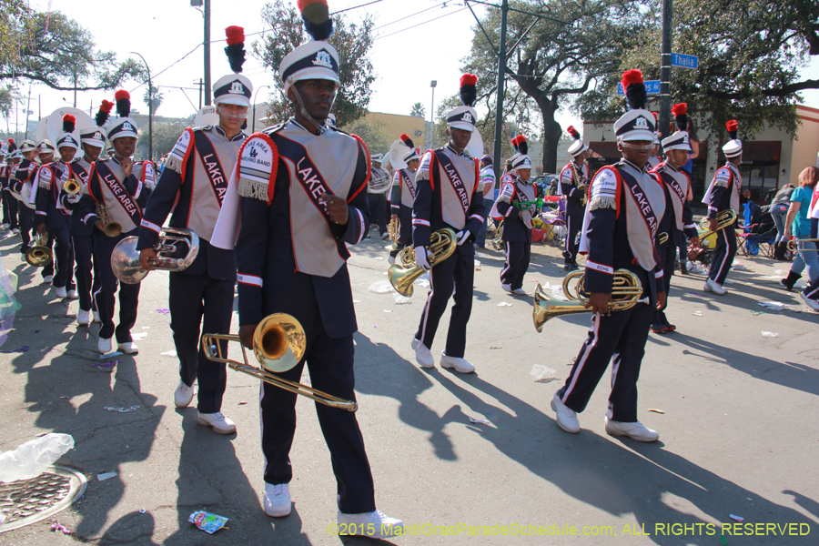 Krewe-of-Tucks-2015-16004