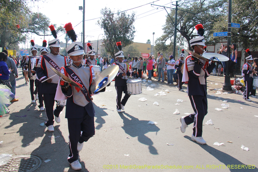 Krewe-of-Tucks-2015-16005