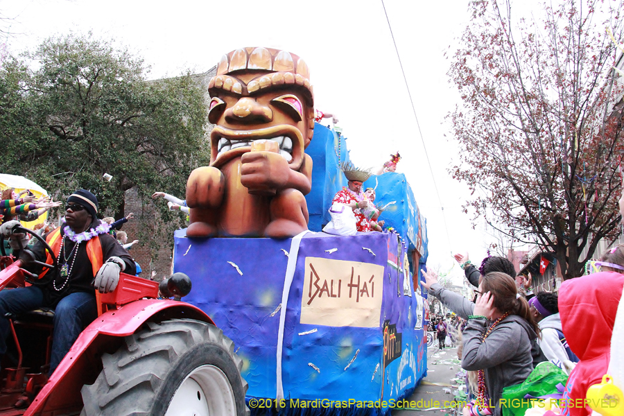 2016-Krewe-of-Tucks-010810