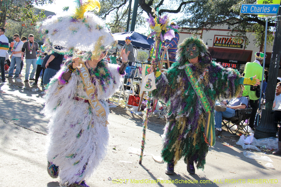 Krewe-of-Tucks-2017-08596