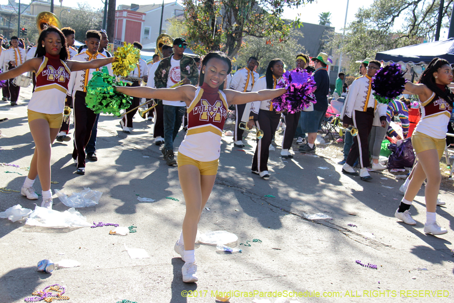 Krewe-of-Tucks-2017-08615