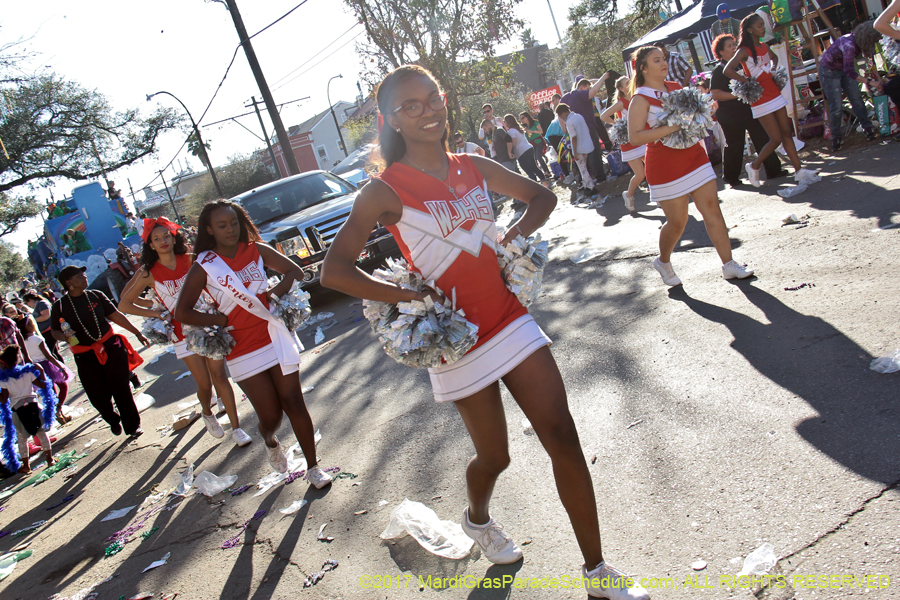 Krewe-of-Tucks-2017-08772